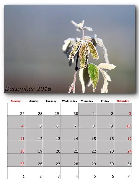 Photo of december nature calendar page layout
