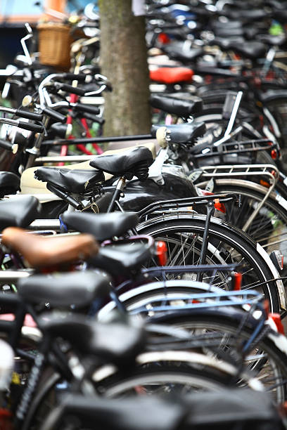 istock Group of parked bicycles 497934554