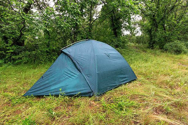 istock tourist tent in wet forest 497935068