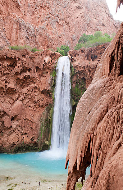 Havasupai Waterfalls The blue-green waters of Havasu Creek in Grand Canyon, Arizona havasu creek stock pictures, royalty-free photos & images