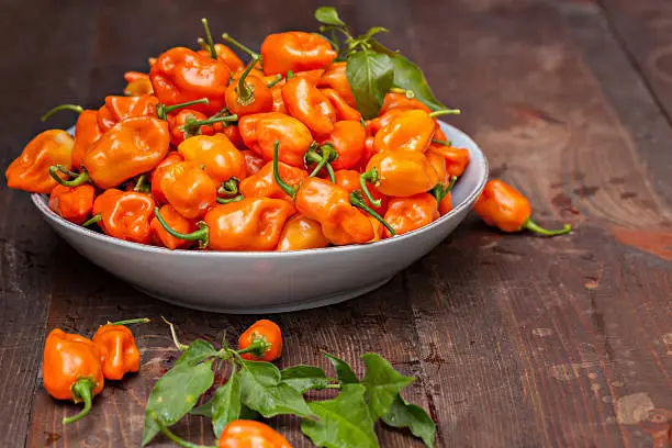 Photo of Bowl Full Of Habanero Peppers