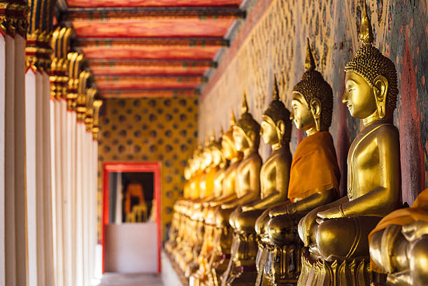 row bouddhas dans un temple - wat pho photos et images de collection