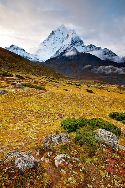 vista panoramica dell'himalaya montagne - sikkim foto e immagini stock