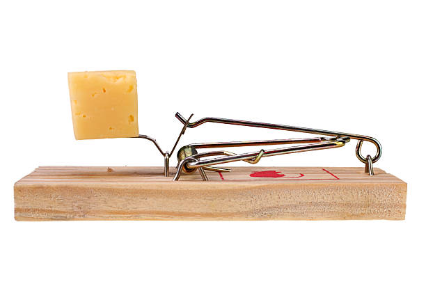 istock Photo of a mouse trap with cheese as bait, concept 497940054