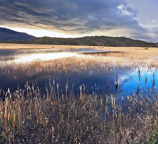 istock The national park Torres del Paine, Chile 497940412
