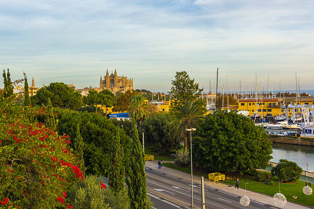 istock Palma de Mallorca Palma Cathedral Majorca, Spain 497942514