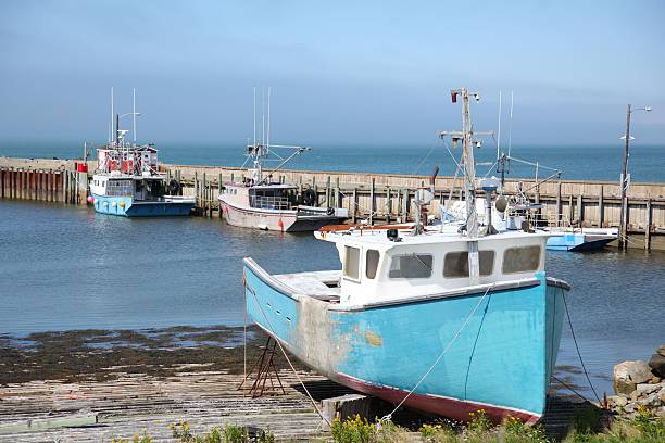 istock Fishing boats at a wharf 497942582