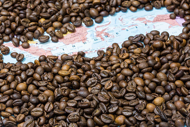 istock Map of Indonesia under a background of coffee beans 497946036