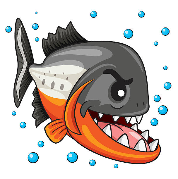 illustrations, cliparts, dessins animés et icônes de piranha dessin animé - piranha