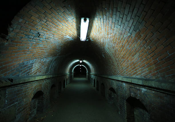 istock dark dawn and terrible tunnel, road in japan 497947100