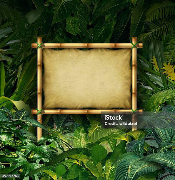 Jungle Sign Stock Photo - Download Image Now - Billboard, Blank Sign, Climate