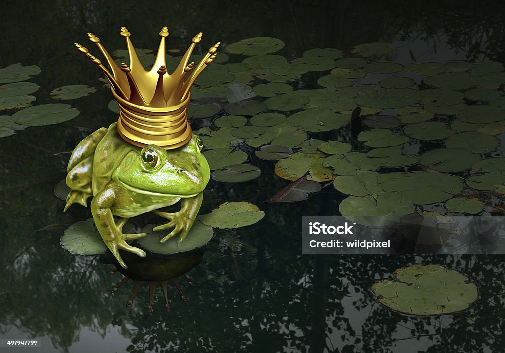 Frog Prince Concept Frog prince concept with gold crown representing the fairy tale concept of change and transformation from an amphibian to royalty on a lily pad pond background. Frog Prince Stock Photo