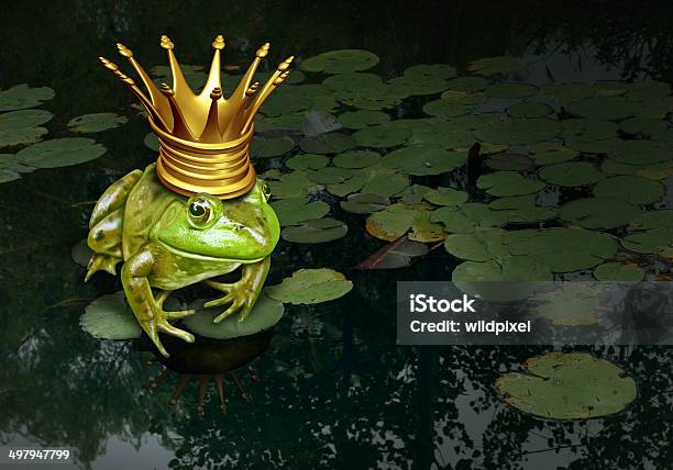 Frog Prince Concept Stock Photo - Download Image Now - Frog Prince, Frog, Fairy Tale