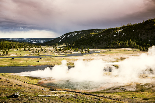 A beautiful view of a valley in Yellowstone at sunset, steam blowing across the landscape from volcanic pools and vents.  Three bison are barely visible in the background resting in the evening light.