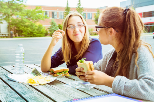 Teenage girl friends enjoying lunch together in their school's parking lot.
