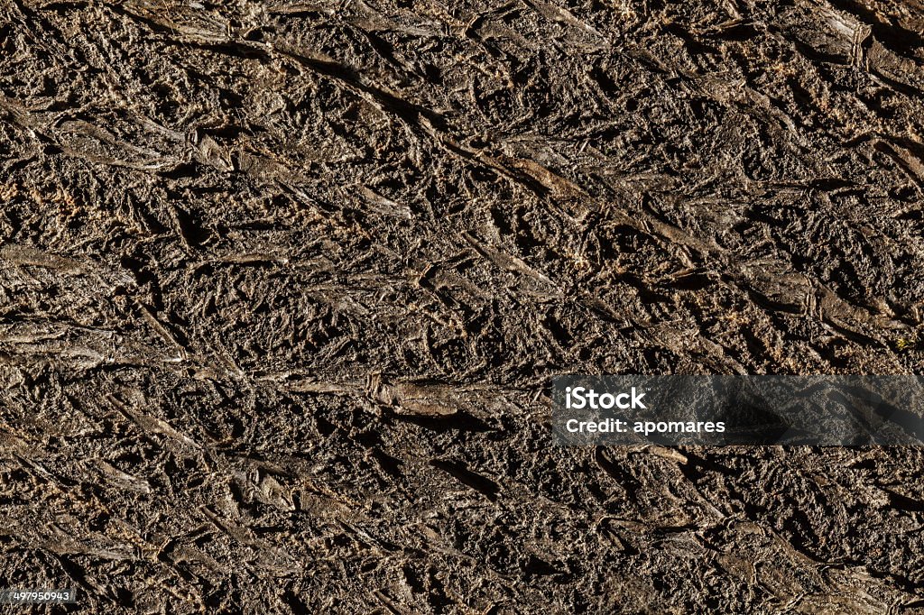 Baixo chave de fundo de textura de piso de madeira log - Royalty-free Antigo Foto de stock