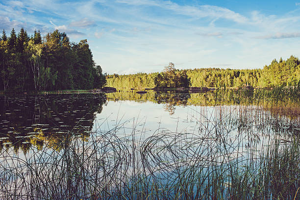 istock Rural scene in Sweden 497954427