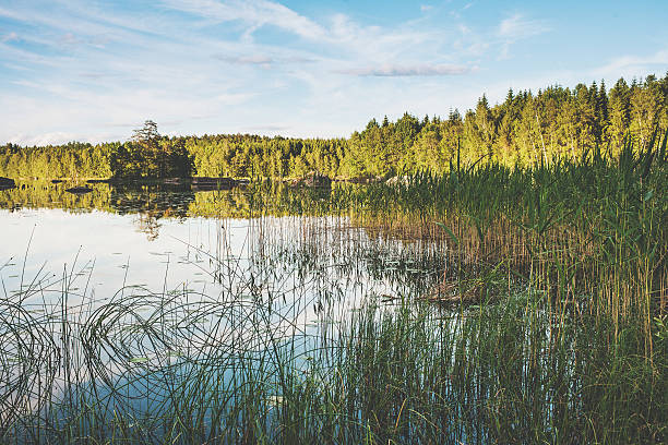 istock Rural scene in Sweden 497954433