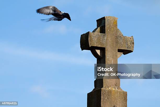 Gołąb I Krzyż I - zdjęcia stockowe i więcej obrazów Brązowy - Brązowy, Chmura, Duchowość