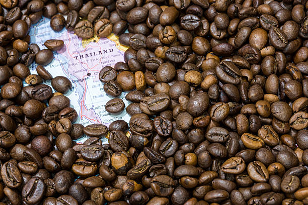 istock Map of Thailand under a background of coffee beans 497957486
