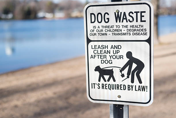istock No dog waste sign by lake 497959180