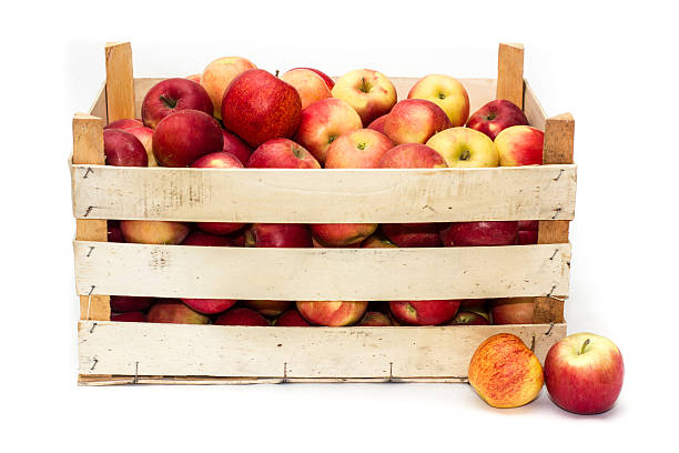 istock Wooden crate full of apples 497959252