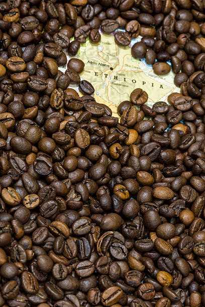 istock Map of Ethiopia under a background of coffee beans 497960330