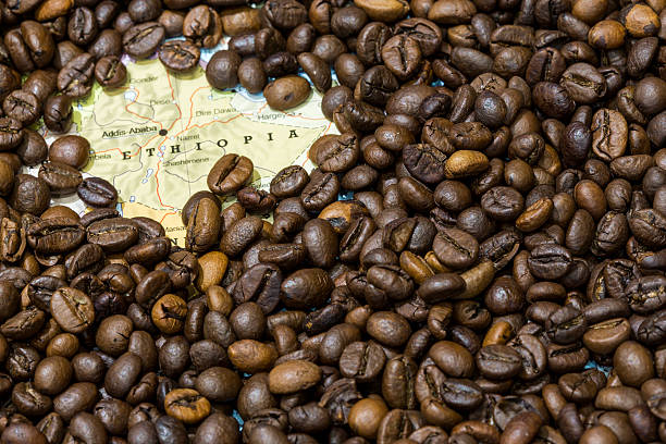 Map of Ethiopia under a background of coffee beans Geographical map of Ethiopia covered by a background of roasted coffee beans. This nation is between the five main producers and exporters of coffee. Horizontal image. ethiopia photos stock pictures, royalty-free photos & images