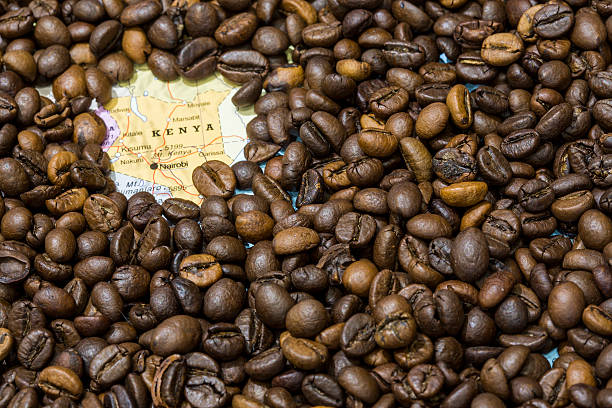 istock Map of Kenya under a background of coffee beans 497962788
