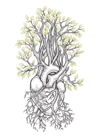 Human anatomical heart with veins like roots, from which grows a tree with leaves as a symbol of life and health. Dotwork style