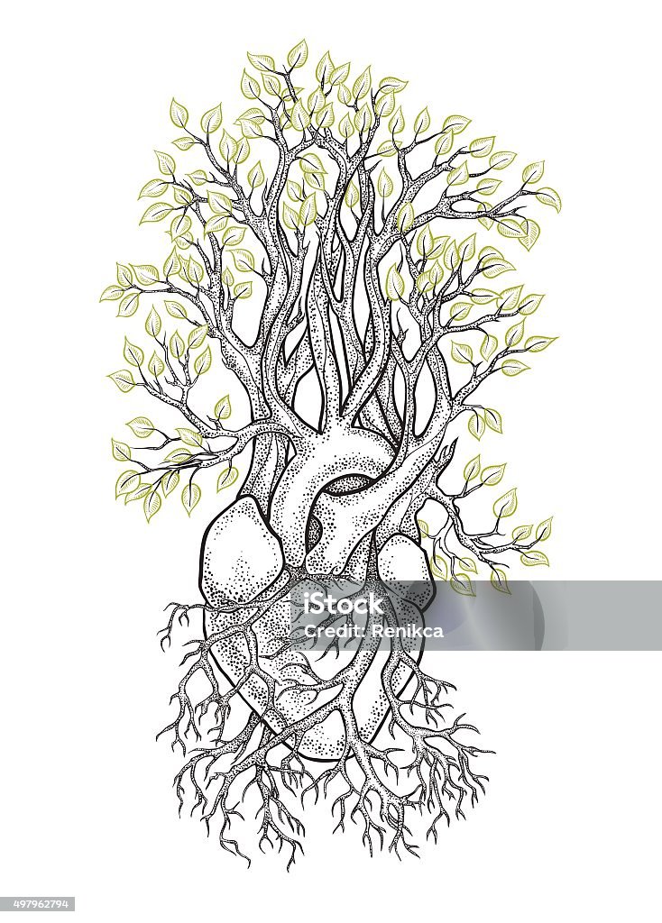 Human heart from which grows a tree Human anatomical heart with veins like roots, from which grows a tree with leaves as a symbol of life and health. Dotwork style Tree stock vector