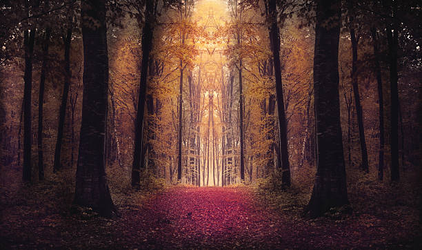 istock Unreal forest symmetry 497963674