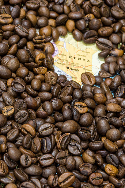 istock Map of Kenya under a background of coffee beans 497964168
