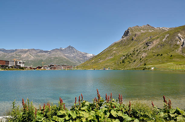 Lake of Tignes in France Lake of Tignes and Alpine dock flowers (Rumex alpinus) in the foreground. Tignes is a commune in the Tarentaise Valley, Savoie department in the Rhône-Alpes region in south-eastern France rumex alpinus stock pictures, royalty-free photos & images