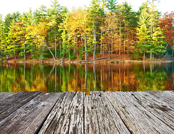 istock Pond in White Mountain National Forest, New Hampshire 497967364