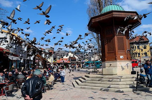 Wooden Ottoman Sebilj water fountain in Sarajevo Bascarsija Bosnia Sarajevo, Bosnia - March 23, 2015: Pigeons fly away from the Sebilj wooden and stone public fountain located in the heart of the Sarajevo's old bazaar area, Bascarsija. The area around the fountain is sometimes referred to as Pigeon Square by locals. It marks the cultural and historical center of Sarajevo, Bosnia. The fountain was constructed in 1753 and moved to its present location in 1891.  blurred motion street car green stock pictures, royalty-free photos & images