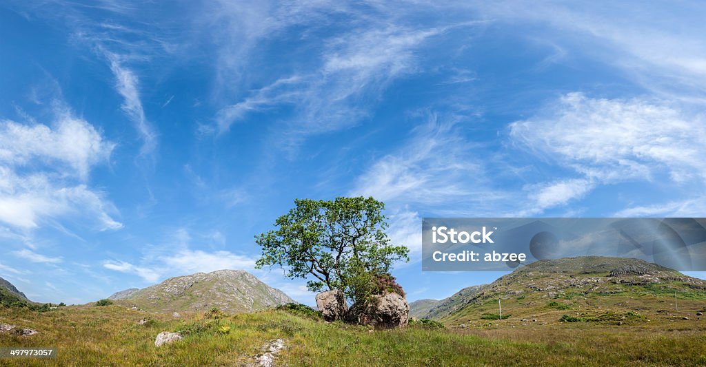 Panorama di montagna quercia nella valle scozzese con Panorama di nuvole - Foto stock royalty-free di Affioramento