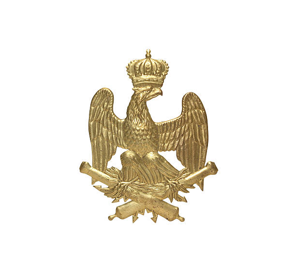 istock Old French Insignia 497973213