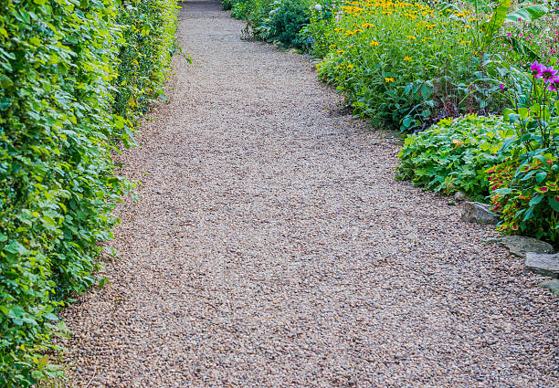 de ruta - single lane road footpath flower formal garden fotografías e imágenes de stock