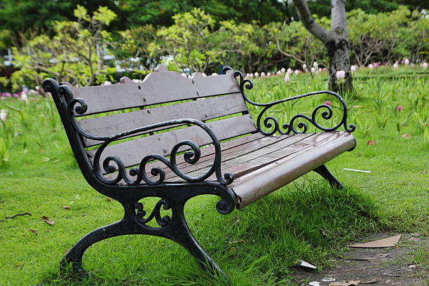 istock Stylish bench in summer park 497974671