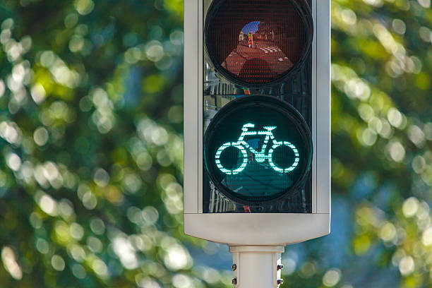 Bicycle traffic light in The Netherlands with trees in the background