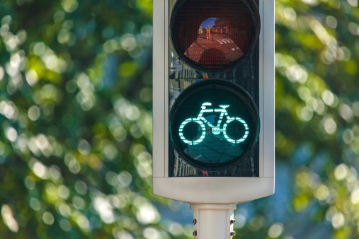 Bicycle traffic light in The Netherlands with trees in the background