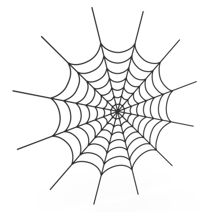 Spider web on white background