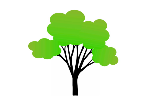 tree illustrator