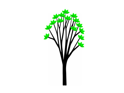 tree illustrator