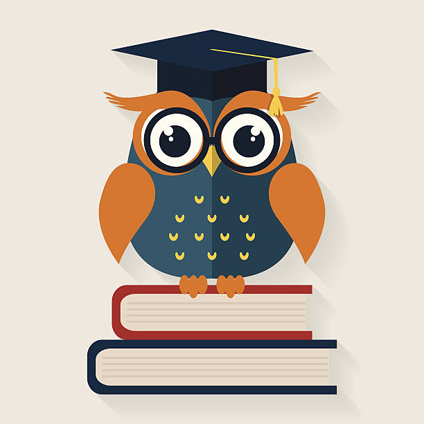 ilustraciones, imágenes clip art, dibujos animados e iconos de stock de sabio búho sentado en los libros de texto ilustración vectorial. - owl