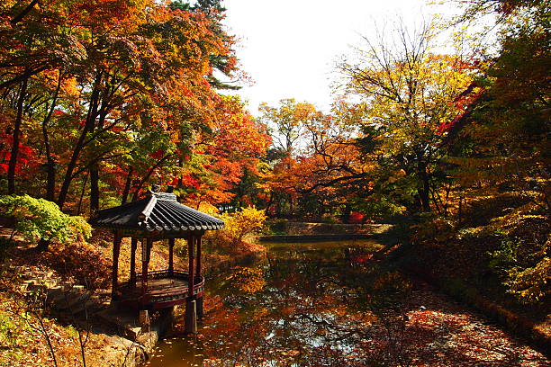 istock Maple in ChangDeokGoong, Korea 497980829