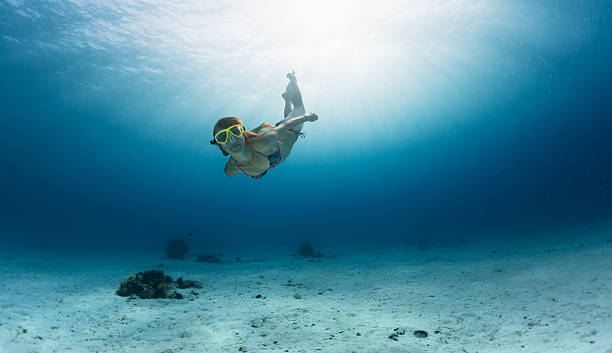 istock Skin diving in the ocean 497983108