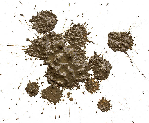 gocce di fango spruzzata sfondo bianco - mud foto e immagini stock