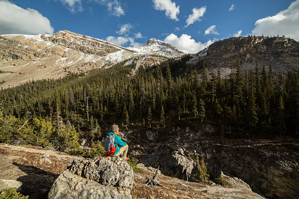 istock Young woman hiker sitting on rock looking at view 497983670